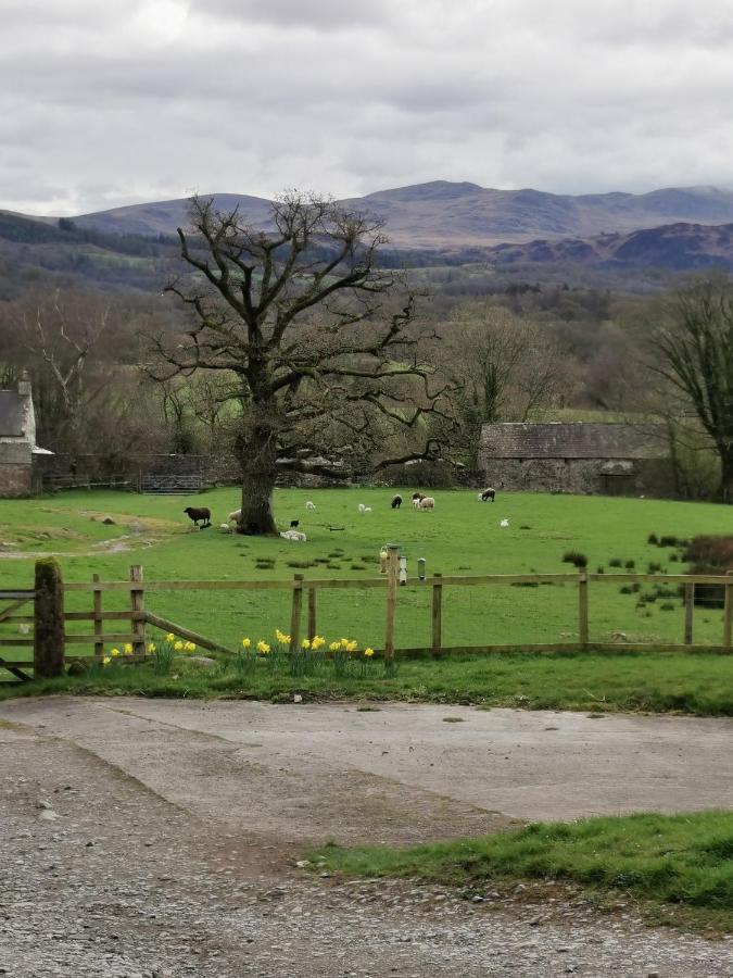 Rainors Farm B&B Gosforth  Bagian luar foto